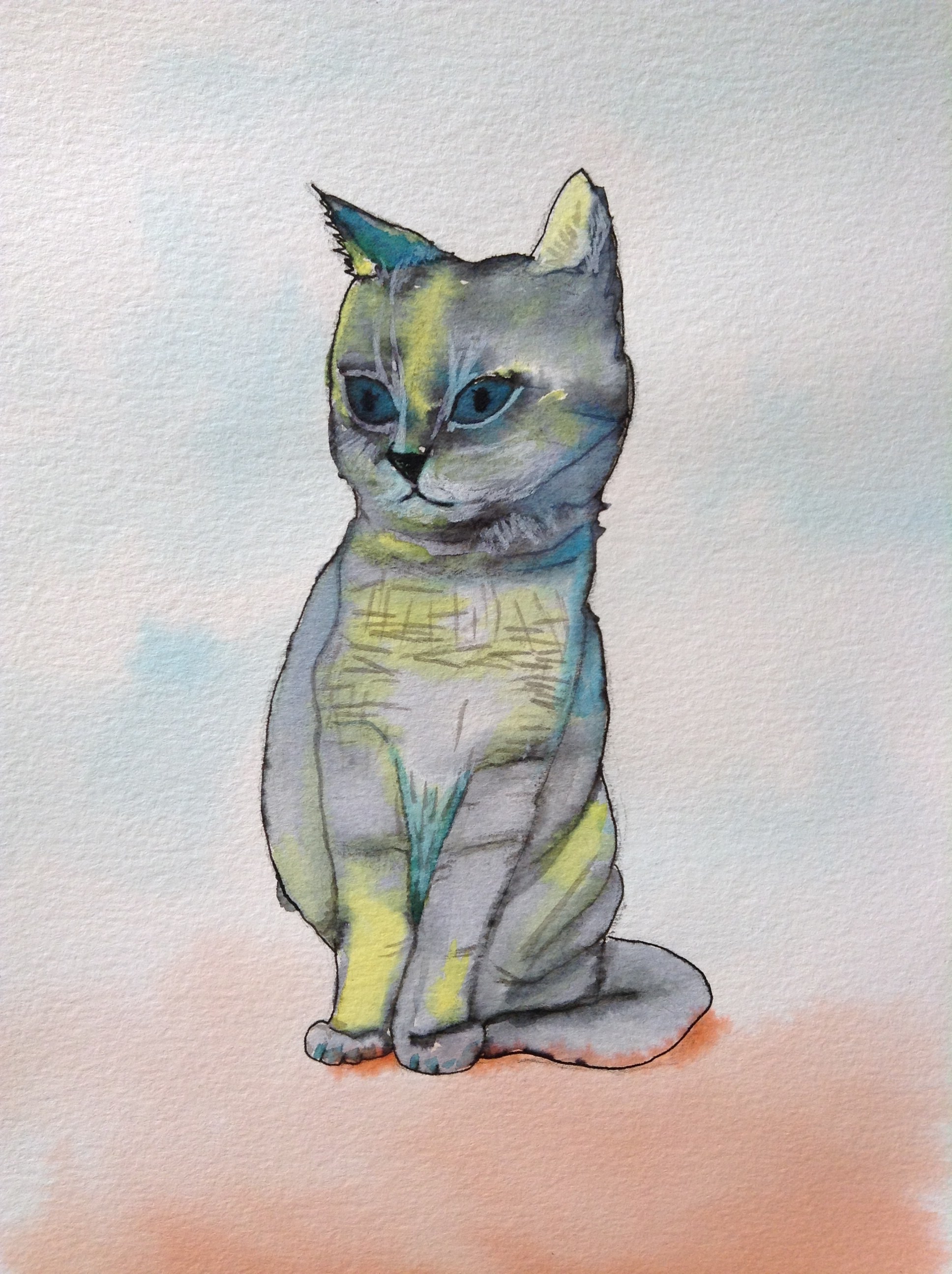 Chat anti-allergénique