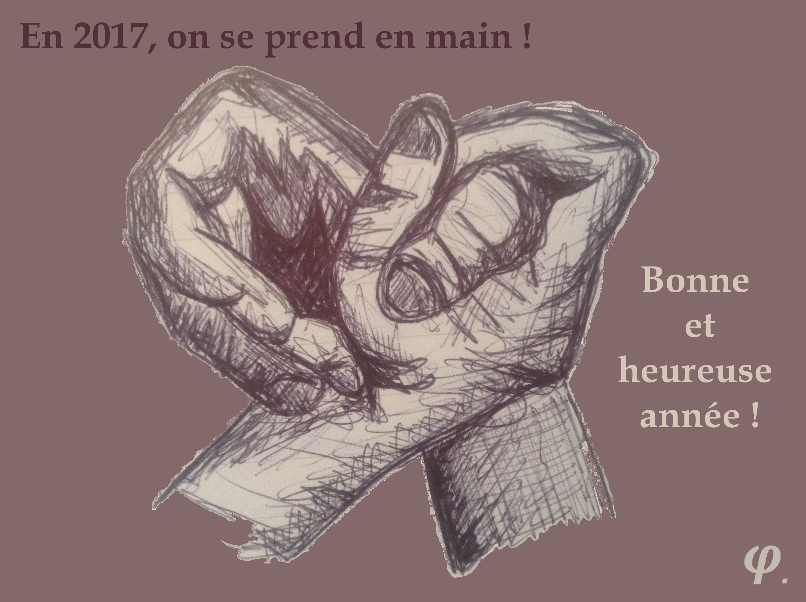 voeux2017