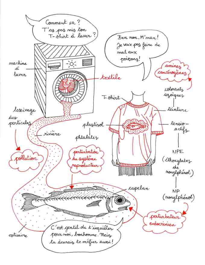 ecologie-de-la-lessive